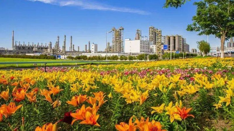 管道防腐涂料规格型号解析：如何选择合适的产品**