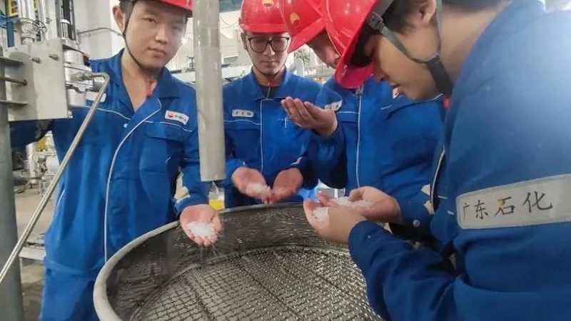 宠物食品防腐剂的选材关键：安全性与效果的平衡**